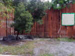 fl_gatorland_12.jpg (1005663 bytes)