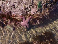 obeach07.jpg (811713 bytes)