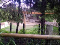 zoo34rhino.jpg (992997 bytes)