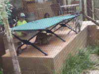 zoo46monkey.jpg (858882 bytes)