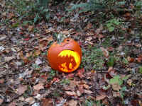 APPW20171021_05.jpg (386650 bytes)