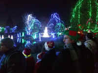 wildlights201701.jpg (645051 bytes)