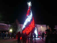 wildlights201704.jpg (426436 bytes)