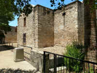 ALAMO_20180510_13364.jpg (875238 bytes)