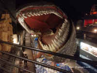 HOR_20200315_09_W03.jpg (610724 bytes)