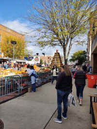 ps_20211023_110423695_HDR.jpg (218808 bytes)