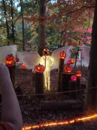 IMG_20221023_190655175.jpg (517626 bytes)