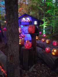 IMG_20221023_190851509.jpg (657428 bytes)