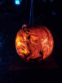 IMG_20221023_193617470.jpg (321952 bytes)