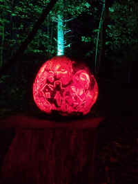 IMG_20221023_194328041.jpg (348045 bytes)