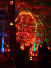 IMG_20221023_194457967.jpg (435503 bytes)