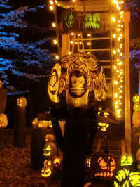 IMG_20221023_194550689.jpg (461968 bytes)