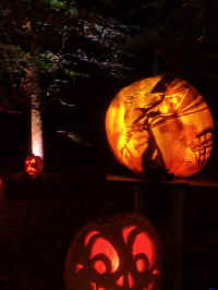 IMG_20221023_194732786.jpg (286433 bytes)