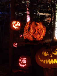 IMG_20221023_195032014.jpg (343580 bytes)