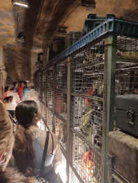 RiseoftheResistance05.jpg (132800 bytes)