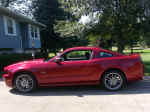 2014Mustang3.jpg (643413 bytes)