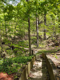 01S_20210506.jpg (257627 bytes)