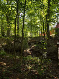 03Summer_20210808.jpg (255529 bytes)