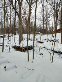 03W_20220118.jpg (137533 bytes)