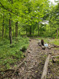 05S_20210527.jpg (272655 bytes)