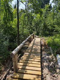 08Summer_20210808.jpg (247403 bytes)