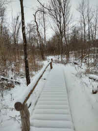 08W_20220118.jpg (159509 bytes)