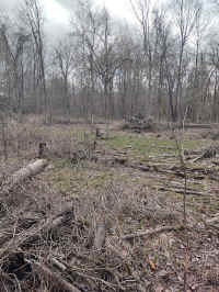 10ES_20210324.jpg (178884 bytes)