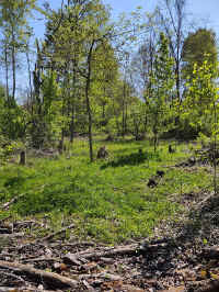 10S_20210430.jpg (276135 bytes)