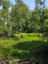 10Summer_20210808.jpg (256998 bytes)