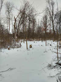 10W_20220118.jpg (148660 bytes)