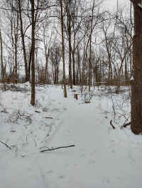 11W_20220118.jpg (164467 bytes)