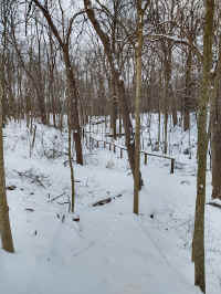 12W_20220118.jpg (174995 bytes)