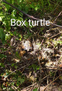 IMG_20200820_203.jpg (202588 bytes)