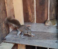 IMG_20210406_203.jpg (151137 bytes)