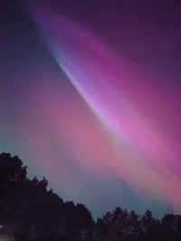 NLITES20240510_1019.JPG (425153 bytes)