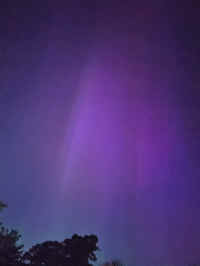 NLITES20240510_1529.JPG (470970 bytes)