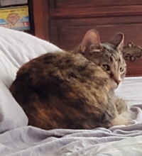 Dougie3.jpg (57616 bytes)