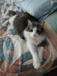 MontyJr02.jpg (81410 bytes)