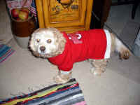 Sassy01.jpg (208593 bytes)