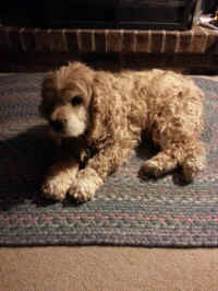 newbie01.jpg (152519 bytes)