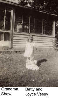 Shaw11.jpg (768627 bytes)