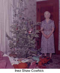 cowhick002.jpg (185414 bytes)